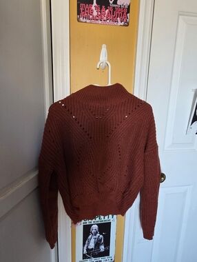 Rust Knit Sweater With Mini Turtle Neck